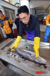 대구 인공수정