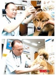 동물병원·애견용품·사료·동물약품…수의사의 대명사, 어느덧 임상40년