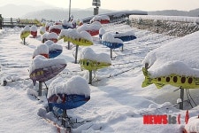 눈 내린 산천어마을