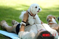 강원도, 전국 최초 애견체험박물관 조성