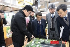 로컬푸드 현장을 둘러보는 이춘희 세종시장