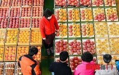 설 대목 맞은 농산물도매시장