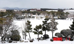 제주 산간 대설경보 속 하얗게 변한 캠퍼스