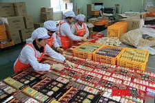 맛좋고 형형색색 눈도 즐거운 의령조청한과