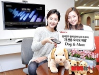 올레tv, 개 전용 오디오채널 도그앤 맘 출시