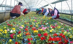 양산시, 사계절 꽃의 도시로 만든다