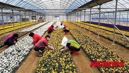 부산시, 3월 새봄 맞아 달콤한 봄 향기 나눈다