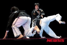 프랑스 세계 무술대회 참가한 합기무도