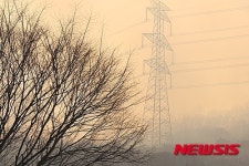 최영장군 묘 인근 야산서 불