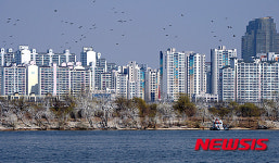 새들의 쉼터, 밤섬을 개끗이 청소해요