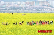 봄나들이 나온 동심