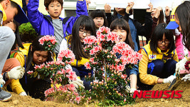 우리학교 푸르게 가꾸기