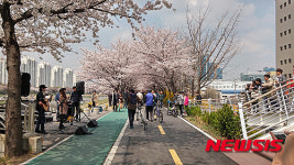 벚꽃과 함께 즐기는 런치콘서트