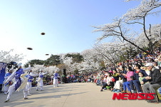 안산 자락길 벚꽃음악회