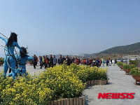 상춘객 북적이는 고흥 봄꽃 힐링 트레킹