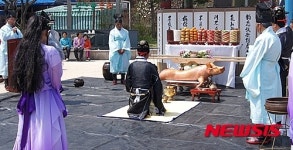 온천과 벚꽃의 만남 수안보 온천제 17일 개막