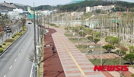 복층 가로수길 들어설 증평대교~장미대교 구간