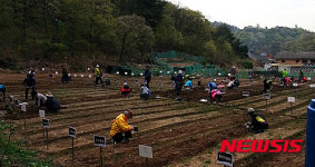 울산 남구, 퇴직자 도시농장 개장