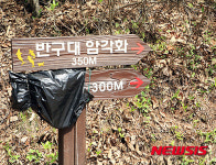 사라진 화장실 이정표