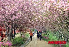 전주 완산공원 꽃동산 걷는 시민들