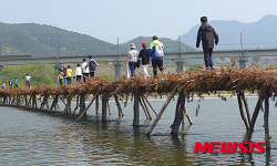 국내 최장 영월 동강둔치 섶다리