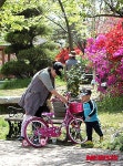 봄날 자전거와 함께