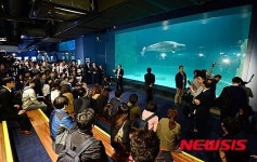 롯데월드몰 수족관 안전성에 몰린 관심