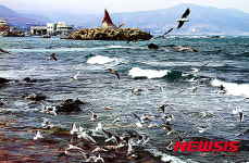 울산북구, 관광주간 강동사랑길 시설 할인행사