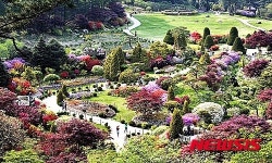 가평 아침고요수목원, 다양한 봄꽃 행사