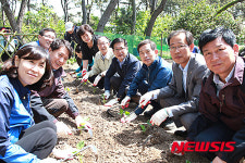울산동구, 도시농장서 오이 파종