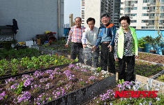 동대문구, 경로당 텃밭 가꾸기 조성 눈길