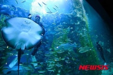 제2롯데월드 수족관 재개장 준비합니다!