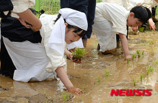 농협 농업박물관, 어린이 전통 손모내기 체험행사