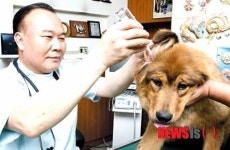 고양이 바꿔치기 사건전말, 동물병원 피해주의보