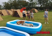 제3회 순천만 세계동물영화제, 오늘 성대한 개막…28일까지