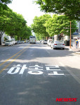 영월군, 주요 도로에 바닥형 도로명 표식