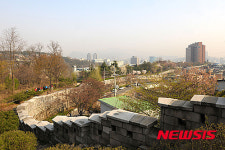 중구, 장충체육관 입구~다산 팔각정 성각 예술문화거리 조성