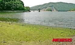 원남저수지 녹조