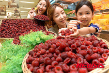 싱싱한 산딸기 맛보세요