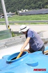 화천군 양계농가 긴급 물 공급