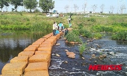 동두천 신천서 물고기 수백마리 폐사… 국과수 조사