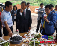한국 블랙커런트 연구회, 전남 장성에서 시식회