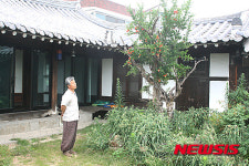 눈길 사로잡는 석류꽃