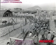 거제도 포로수용소로 이송된 공산포로들