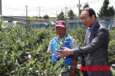 블루베리 농원 방문한 박승춘 국가보훈처장