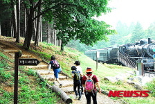 대전현충원 보훈산책로 걷는 시민들