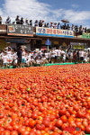 화천 토마토 축제 30일 나흘간 일정으로 개막