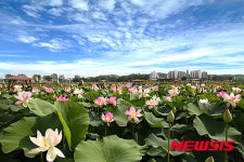 시흥시 25~26일 연성문화제 개최…볼거리 풍성