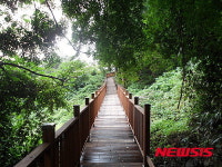 화순 만연산 치유의 숲 산림문화단지 조성