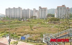 증평 송산택지지구~청주 시내버스 운행